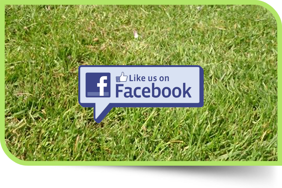 Like Us On facebook